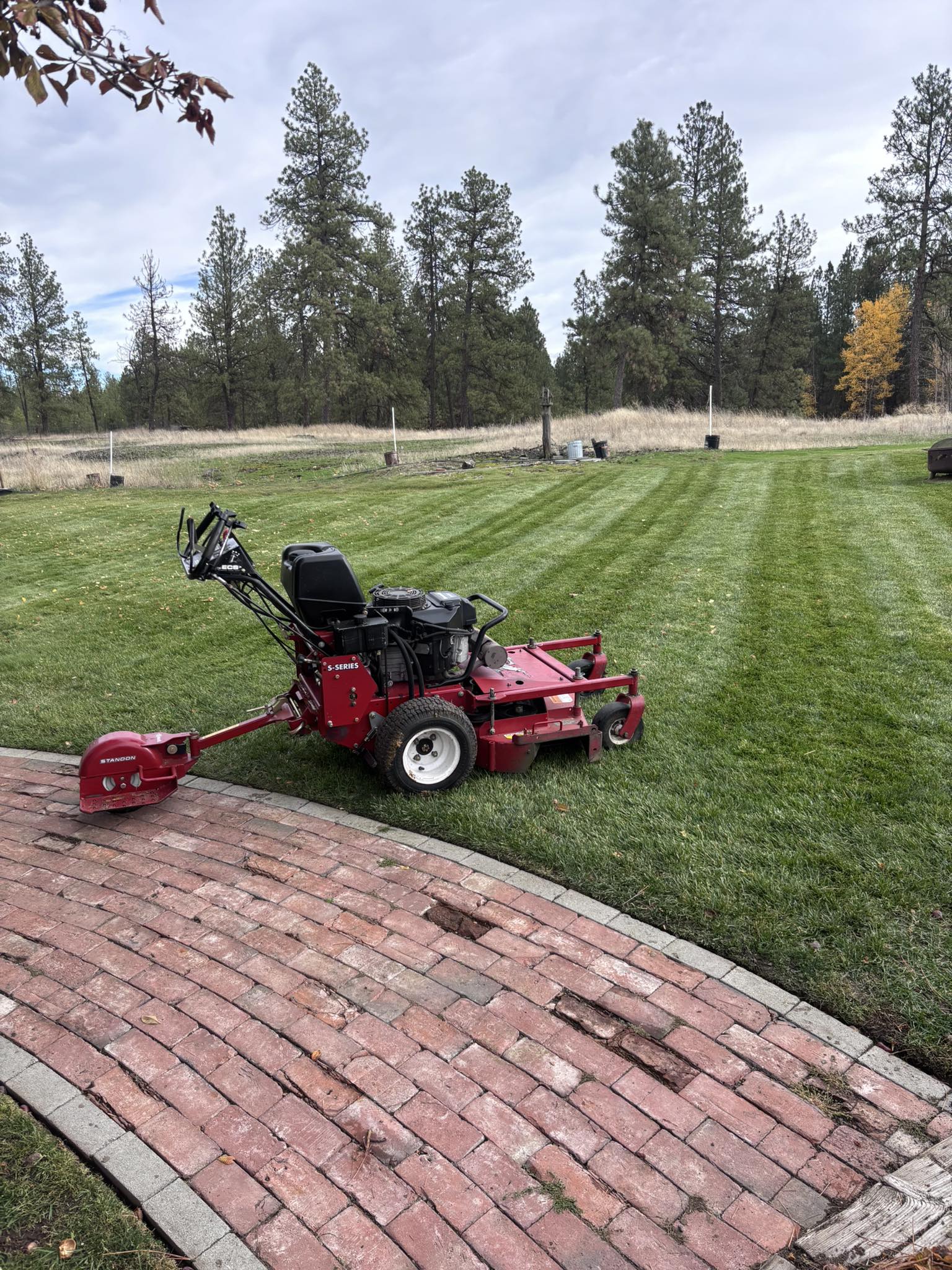 Commercial walk-behind mower on a professionally striped green lawn