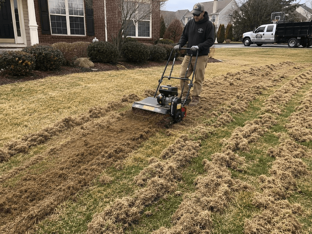 Worker operating a power rake across a residential lawn, pulling up thatch rows